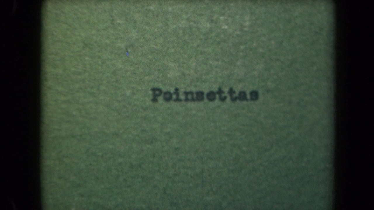 1944 Kauai home-movie title card reading Poinsettas, photographed on soft green 8mm film with dark scan borders.