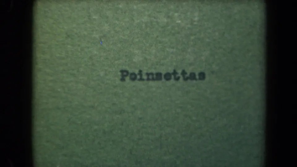 1944 Kauai home-movie title card reading Poinsettas, photographed on soft green 8mm film with dark scan borders.