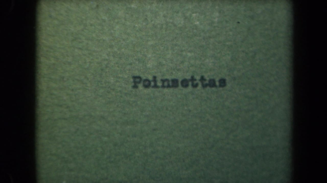 Second sampled frame holds on the Poinsettas title card before the Kauai garden footage begins.