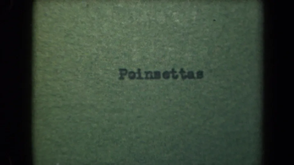 Second sampled frame holds on the Poinsettas title card before the Kauai garden footage begins.