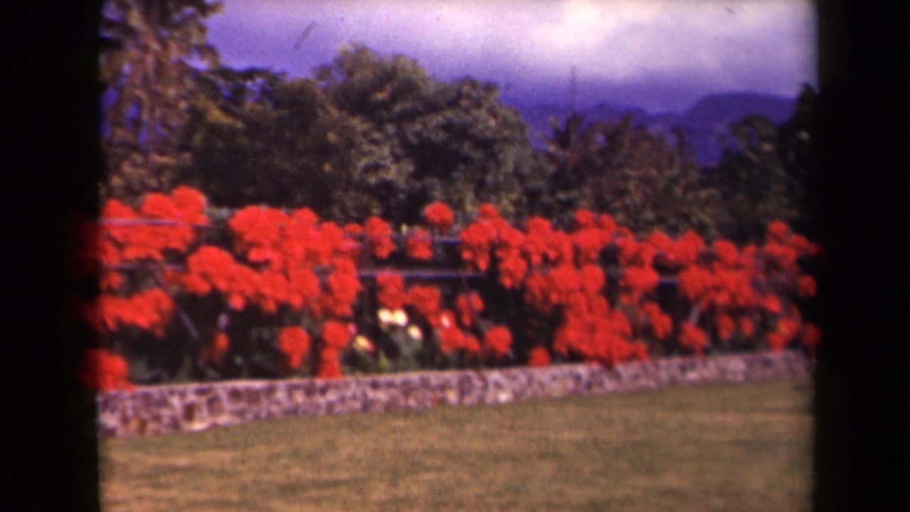 Red flowering shrubs behind a stone wall, with lawn, trees, mountains, and cloudy sky.