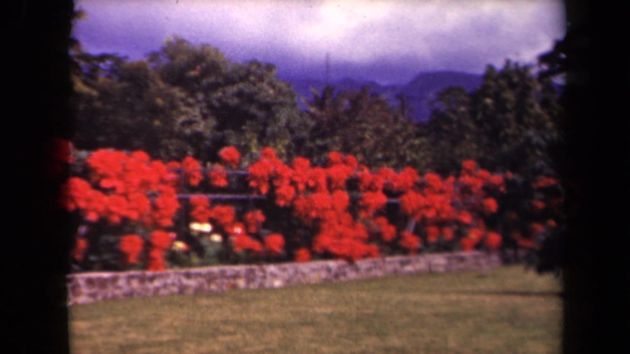A landscaped garden with red flowers, stone wall, trees, and mountains beyond.