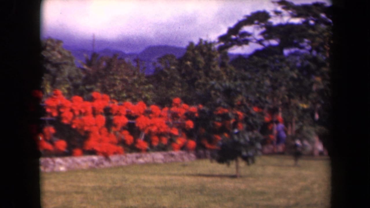1944 Kauai home-movie frame showing a manicured garden with red flowers, lawn, stone wall, tropical trees, distant mountains, and a small figure.
