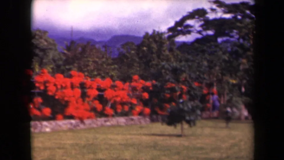 1944 Kauai home-movie frame showing a manicured garden with red flowers, lawn, stone wall, tropical trees, distant mountains, and a small figure.