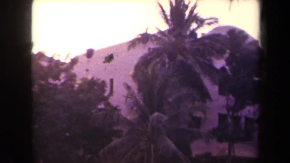1944 Kauai 8mm frame with the camera panning up toward a palm crown, pale roofline, foliage, and overexposed sky.