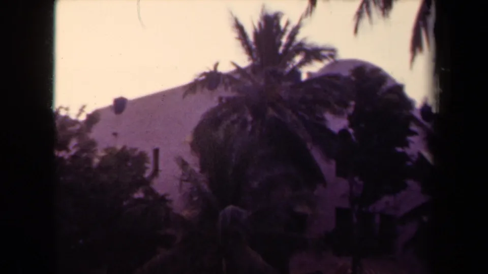 Final 1944 Kauai frame with a palm tree, pale curved-roof building, dark foliage, and bright sky in purple-tinted 8mm footage.