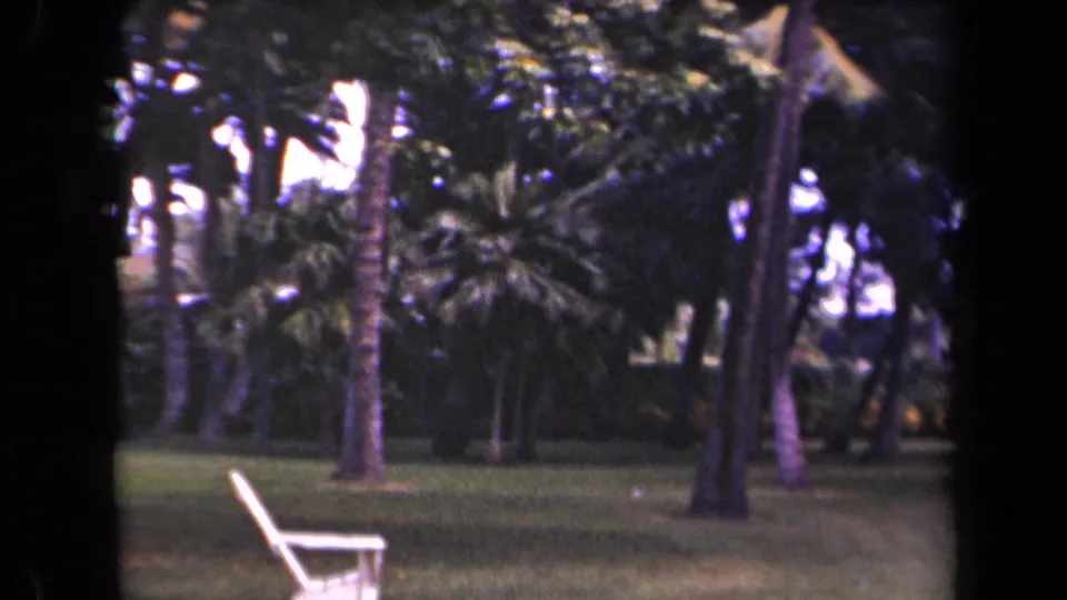 Tropical lawn and palm trees with a white chair edge visible in 1940s Kauai home-movie footage.