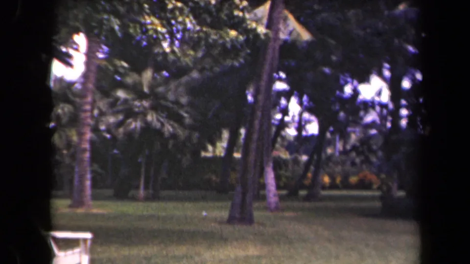 Palm grove, grass lawn, and partial white chair in metadata-supported Kauai vacation footage from 1944.