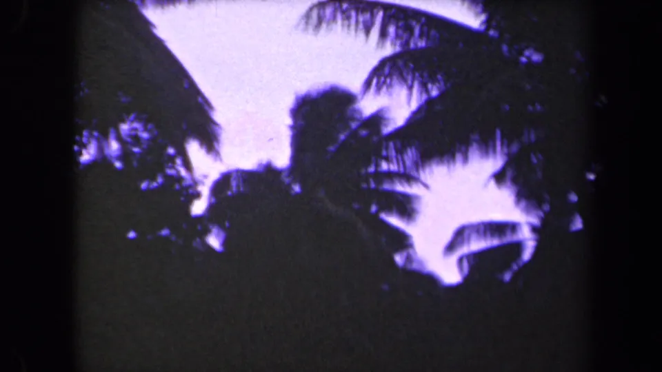 1944 Kauai frame looking up or into silhouetted palm fronds and tropical trees against a purple-toned sky.