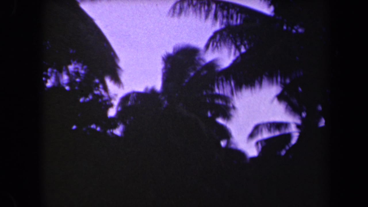 1944 Kauai 8mm frame showing dark palm silhouettes against a purple-blue sky with heavy film grain and soft exposure.