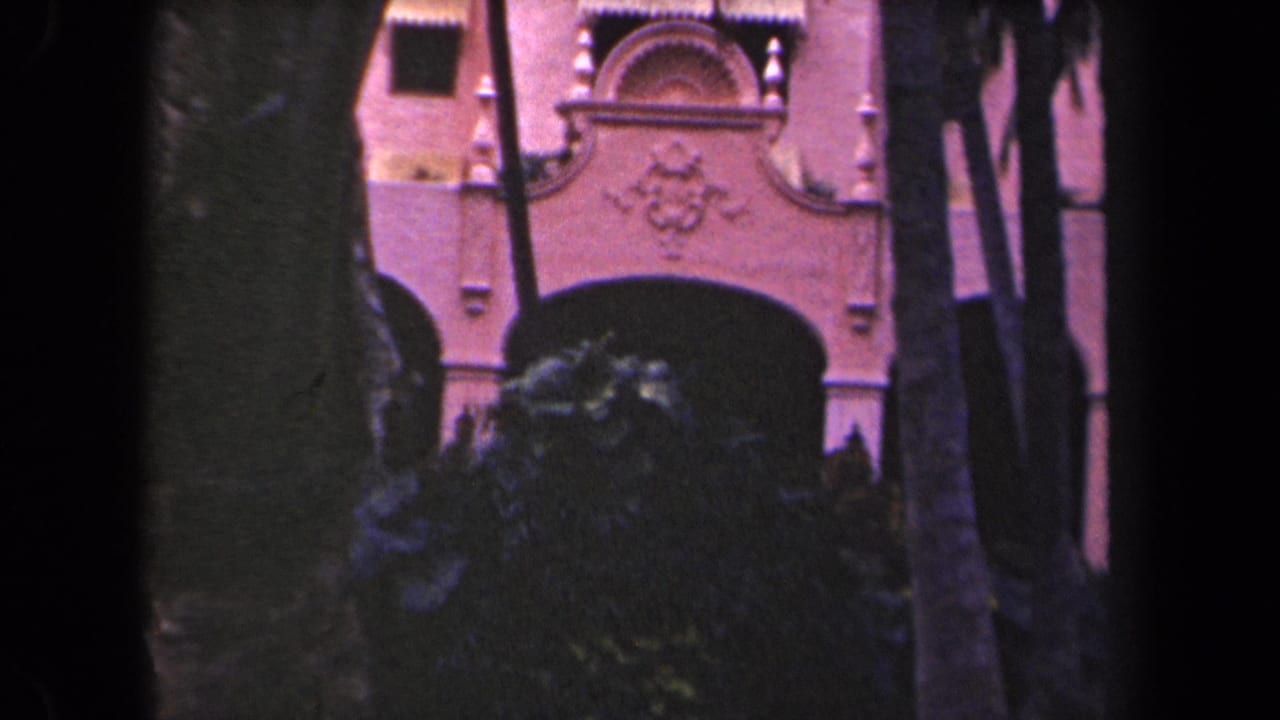 Pink stucco building entrance partly obscured by palm trunks.