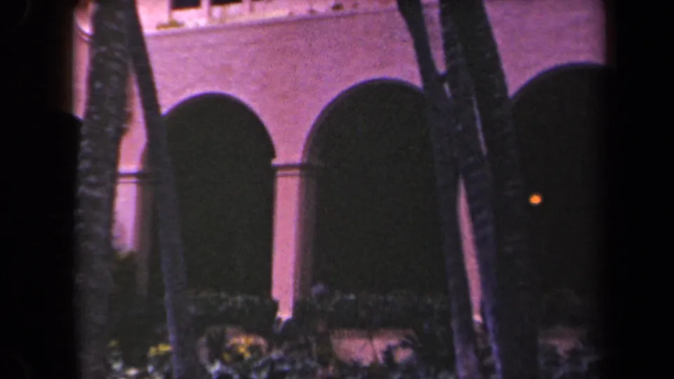 End frame of a Kauai courtyard exterior with palm trunks, planted shrubs, steps, and dark arched entrances on a pink-toned building.