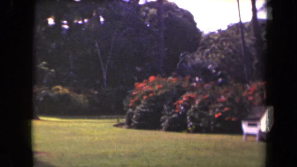 A tropical garden lawn with red flowering hedges and a white Adirondack-style chair at the right edge.