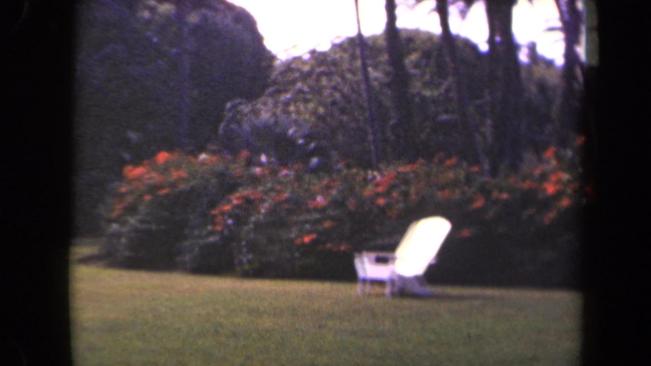 White lawn chair on green grass before flowering shrubs and palms.