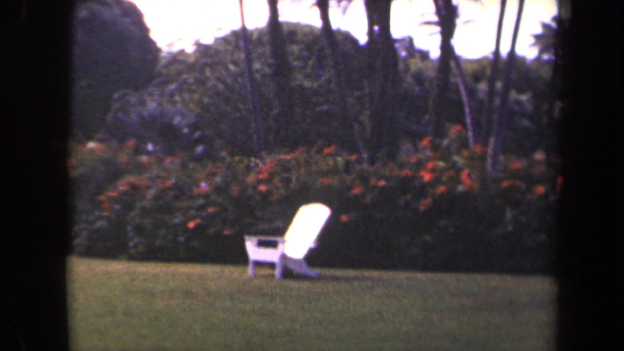 White chair on a sunny lawn with tropical shrubs and palm trunks.