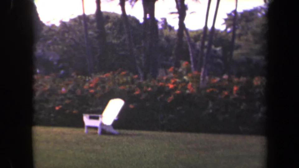 Kauai garden frame with a white chair on green grass, orange flowering shrubs, and dark palm trunks in the background.