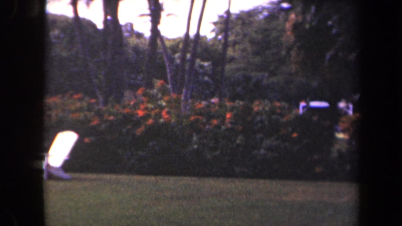 1944 Kauai home-movie frame showing a lawn bordered by tropical shrubs, orange flowers, palm trunks, and a white outdoor chair.