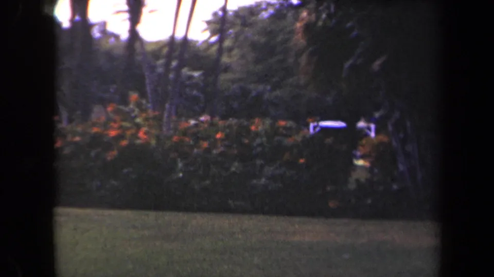 1944 Kauai garden view with a grassy foreground, flowering shrubs, and tall palms silhouetted against a bright sky.