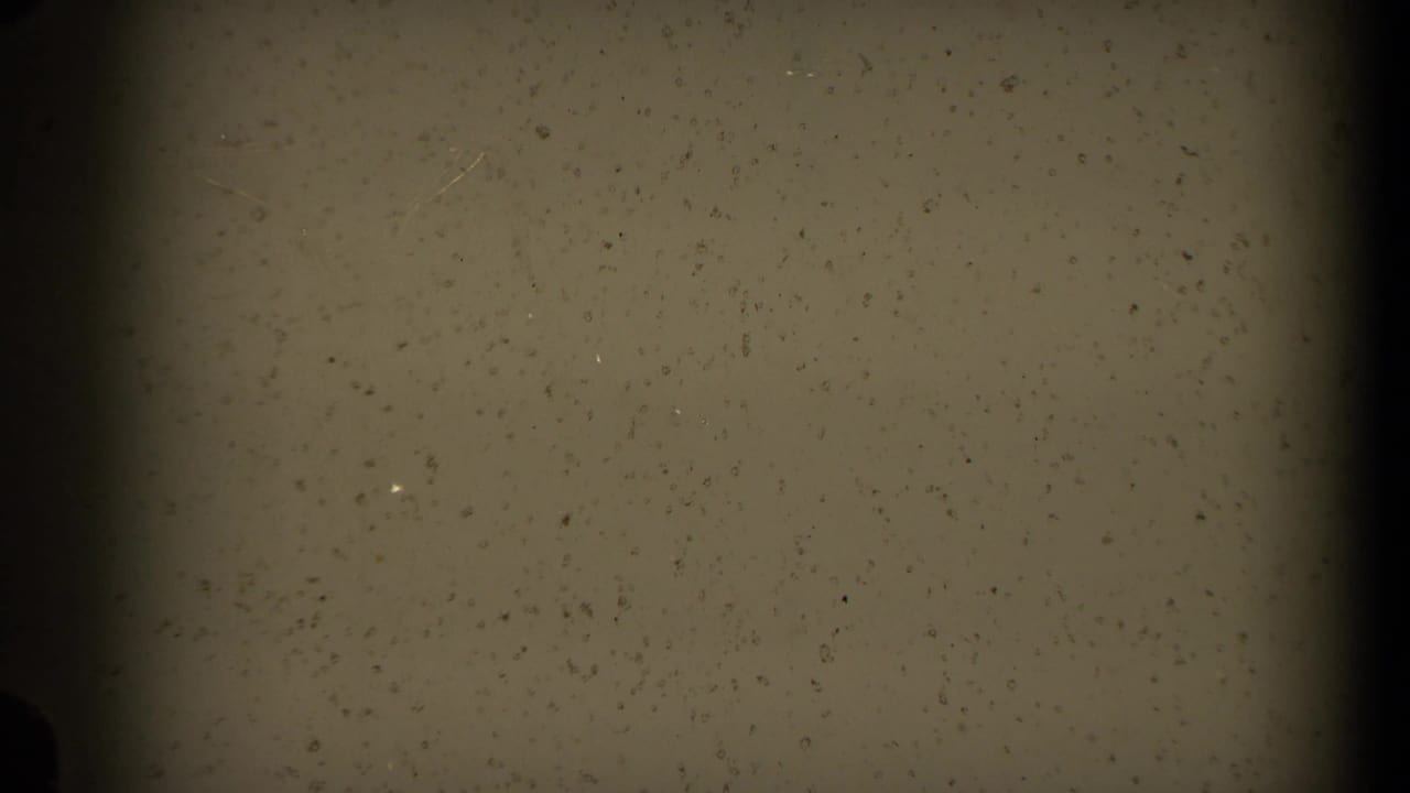 Dark film edge beside a pale, dusty frame area with little readable subject detail.