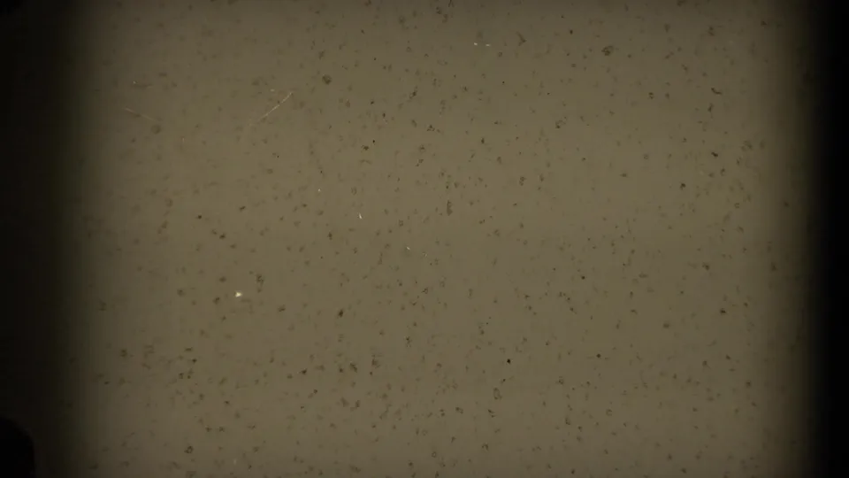 A mostly obscured 8mm frame shows dark gate edges and a pale, grainy area before the handwritten card appears.