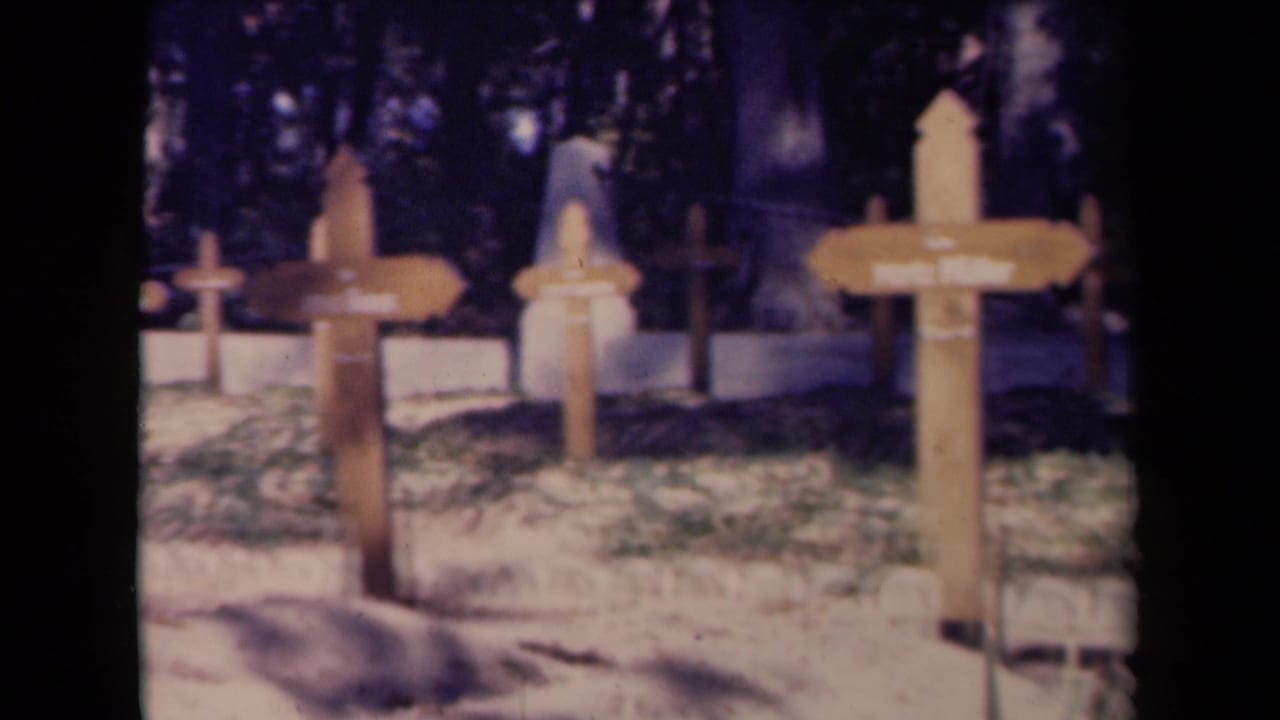 1945 France cemetery frame with multiple wooden signposts, crosses, grave borders, grass, trees, and a strong foreground shadow.