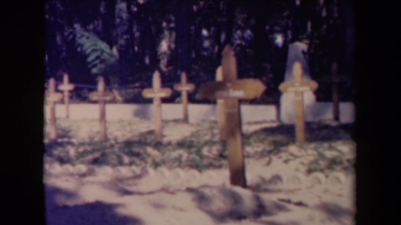 Rows of wooden cross markers appear beside a low pale wall under trees.