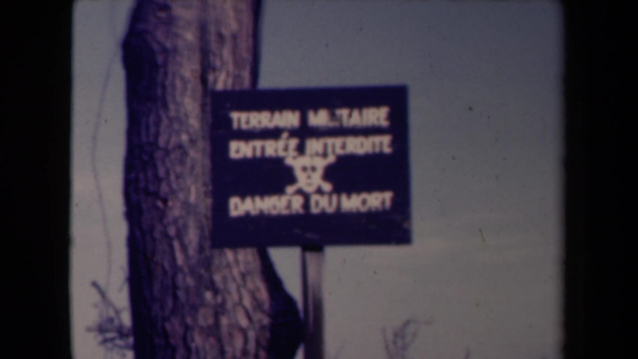 Blue French military warning sign beside a tree with a skull symbol.