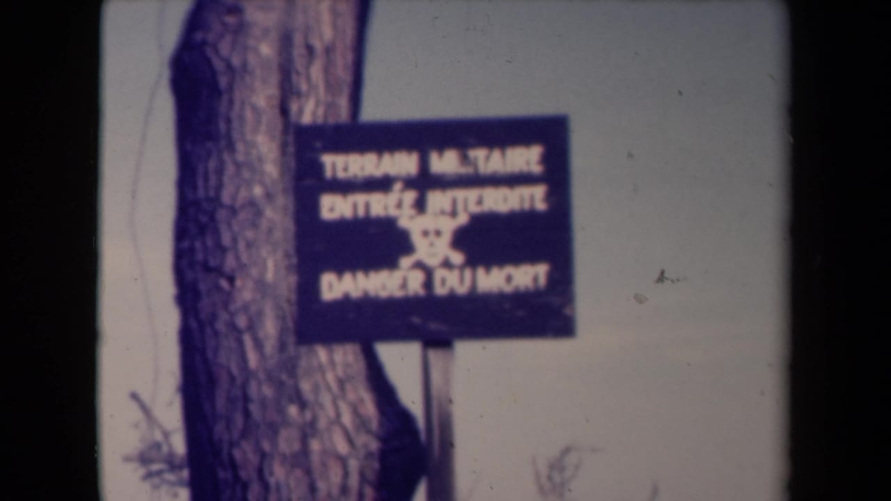 Restricted military zone sign with French lettering and skull symbol near a tree.