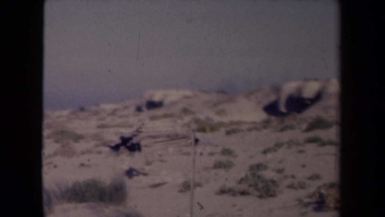 Metadata-identified 1945 France 8mm frame showing a blurred sandy landscape, sparse plants, and visible film wear.