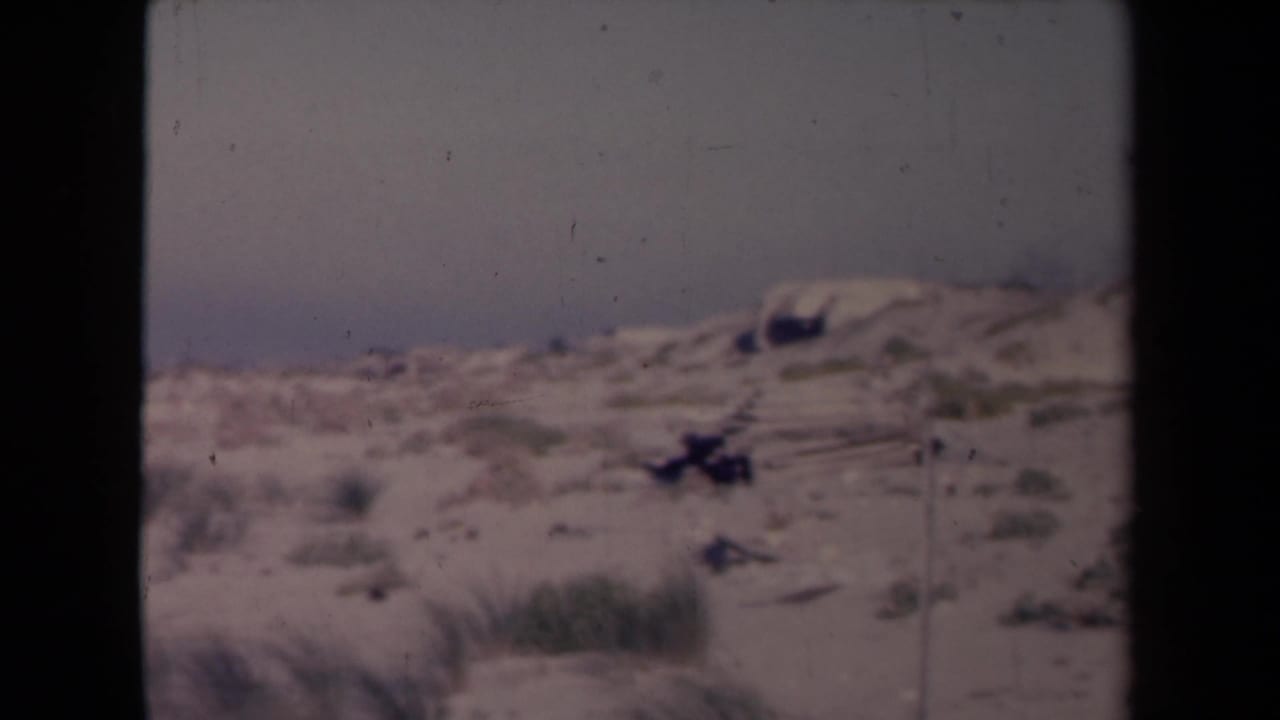 Sandy coastal dunes and scrub vegetation beneath a pale sky.