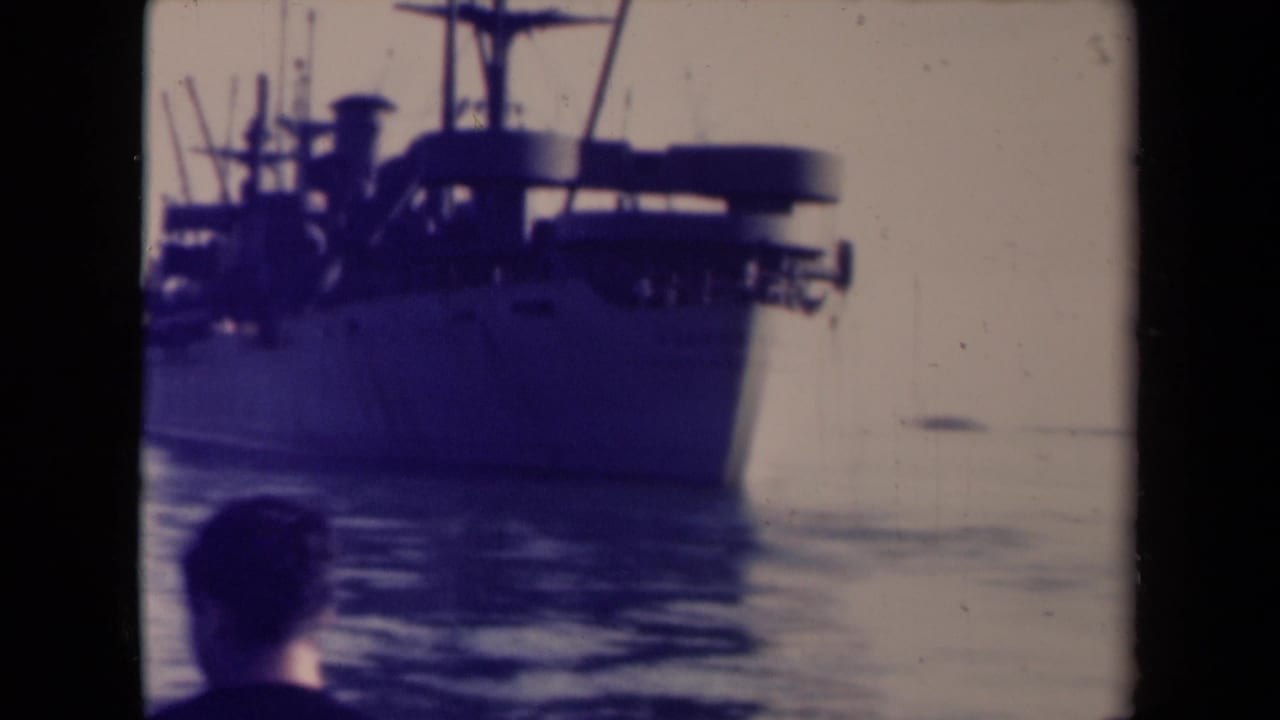 Man seen from behind looking toward a large vessel anchored on calm water.