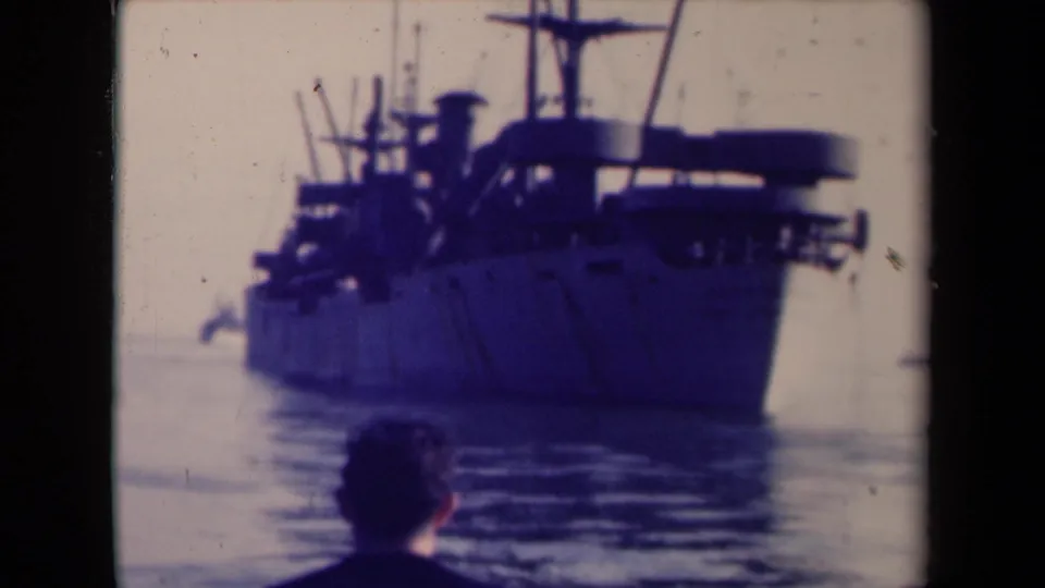 A large anchored vessel is viewed from shore as a man in a dark shirt stands in the foreground.