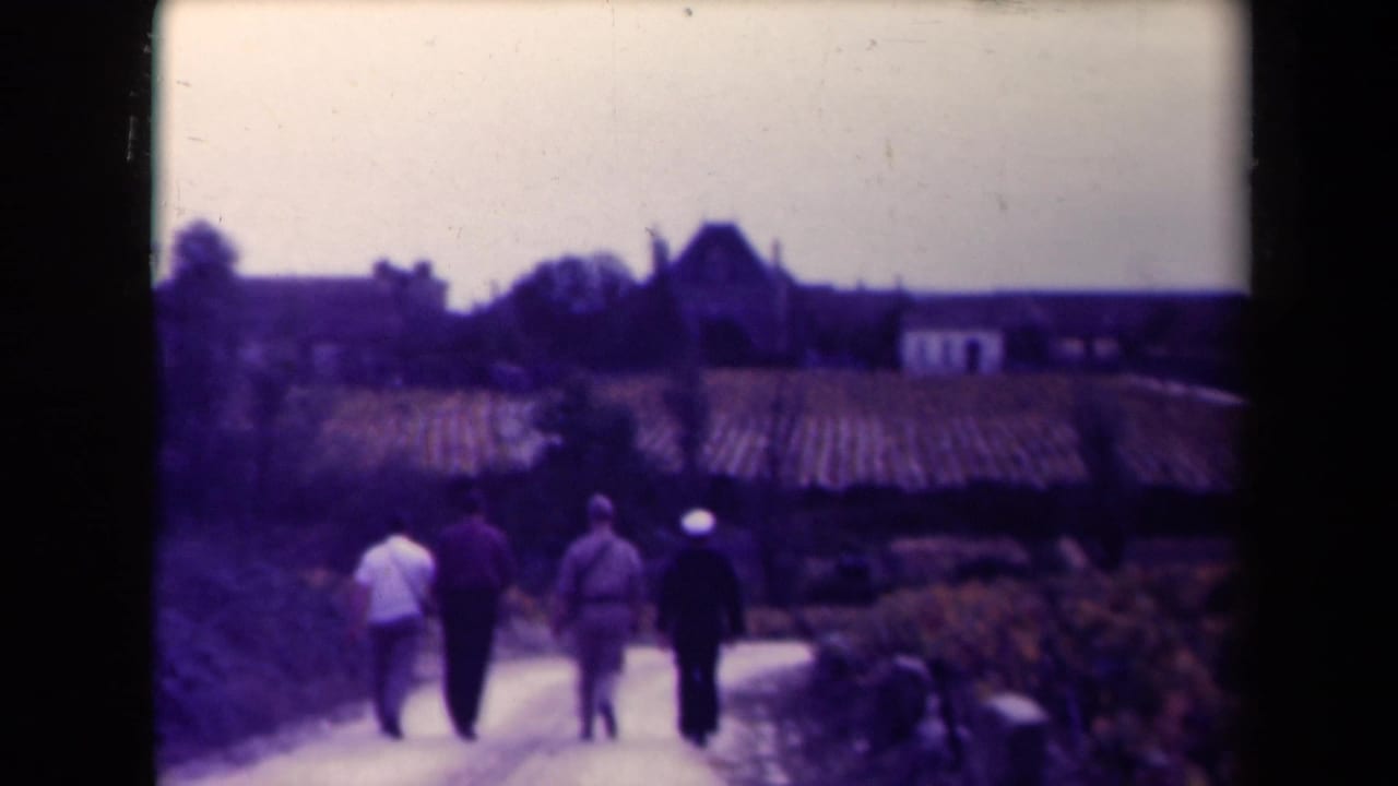 Four men walk away on a dirt road through vineyards toward distant rural buildings.