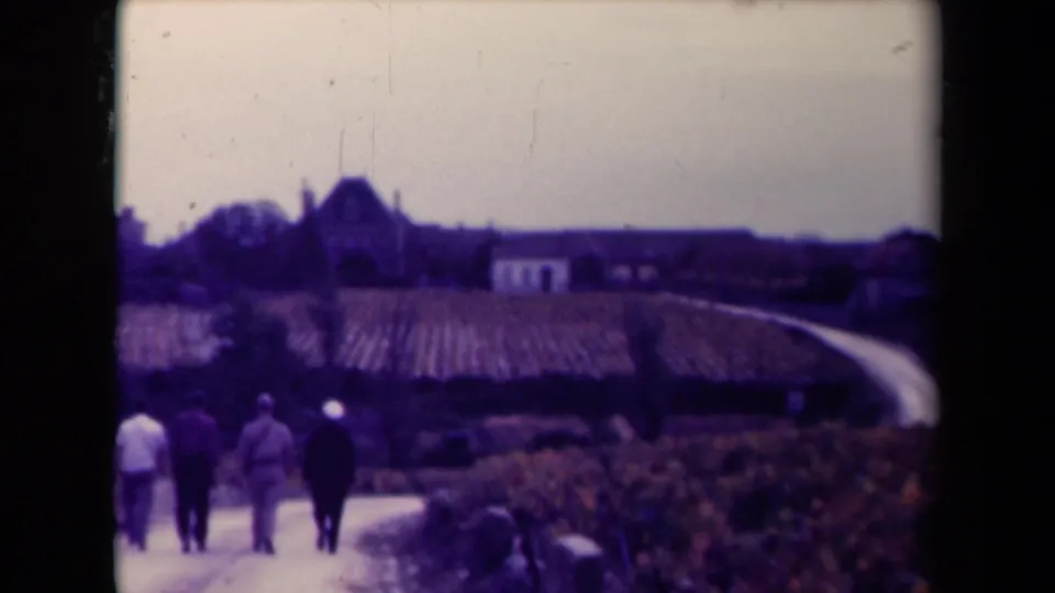The four men appear smaller as they walk farther along a rural French road bordered by vineyard rows and distant buildings.