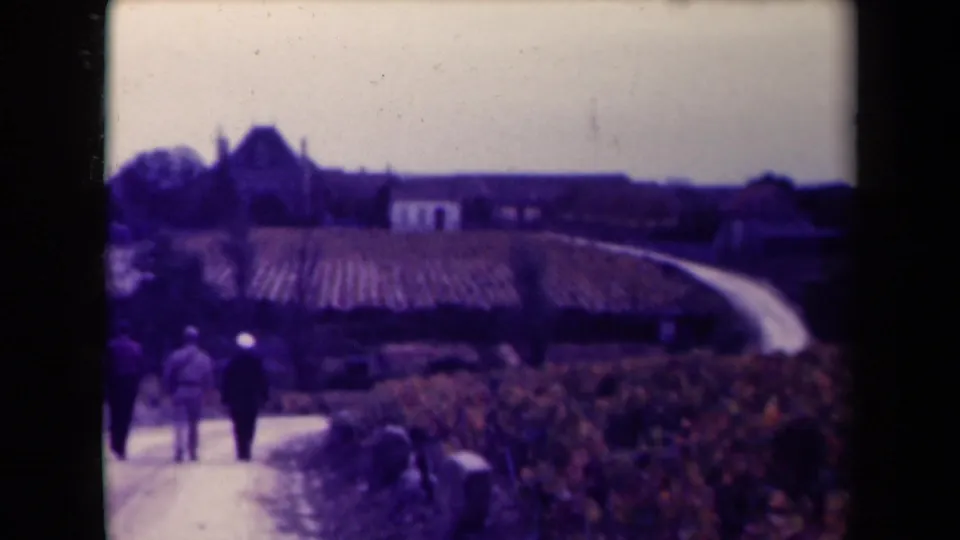 At the end of the clip, four men walk away along a curving road through vineyards in rural France, with buildings beyond.