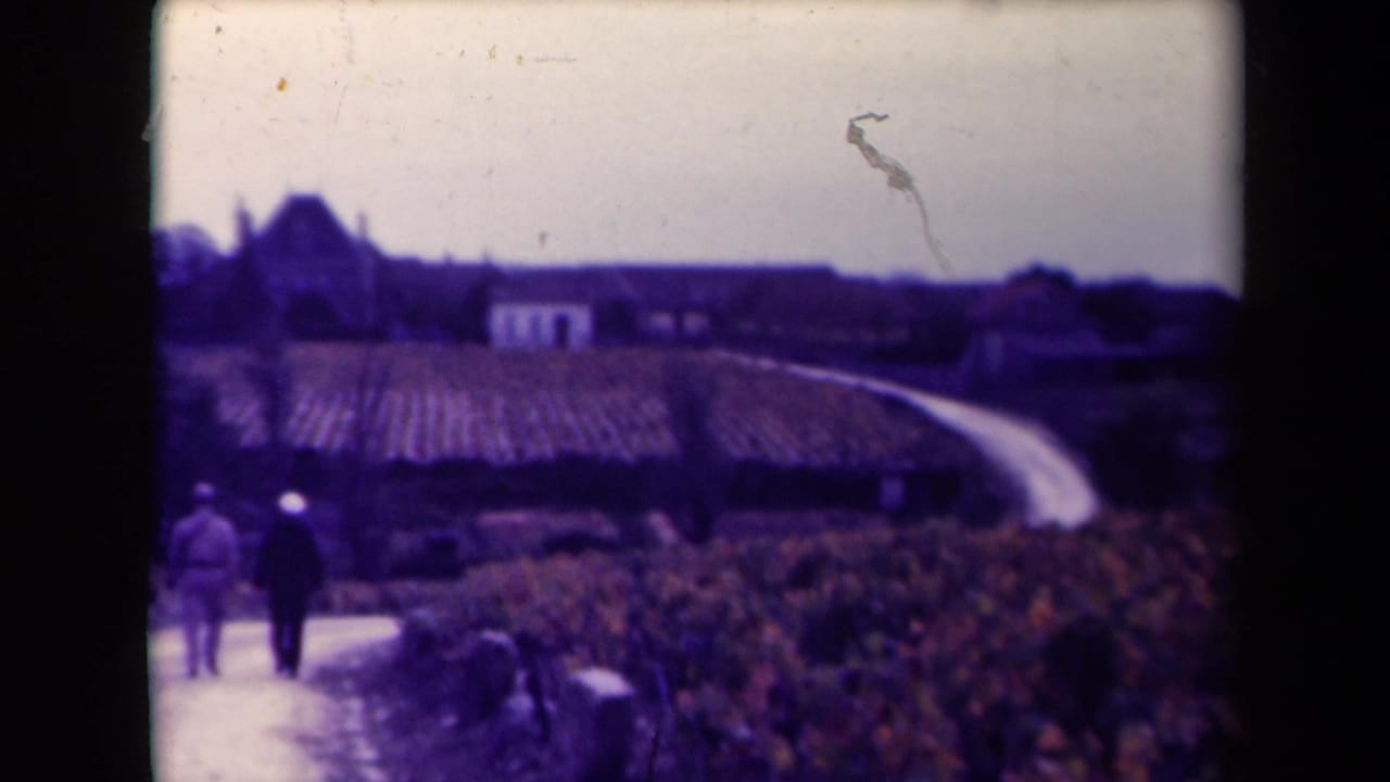 Two figures walk along a path beside vineyard rows and distant farm buildings.