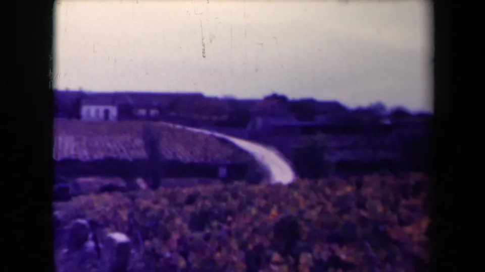 The 8mm frame shows vineyard rows, a pale road, and distant rural structures in a soft, color-shifted French countryside view.