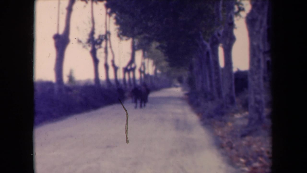 Tree-lined country road with small distant figures near the center of the road.