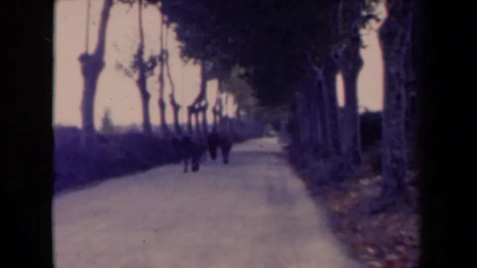 1945 France countryside frame showing a horse-drawn cart with people on a pale road bordered by tall trees.