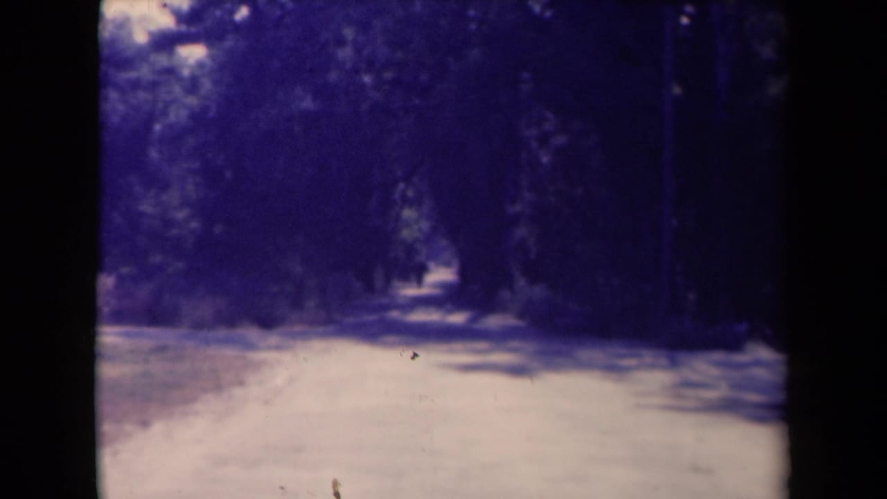 1945 France 8mm frame showing a soft, shaded outdoor path bordered by trees and low growth.