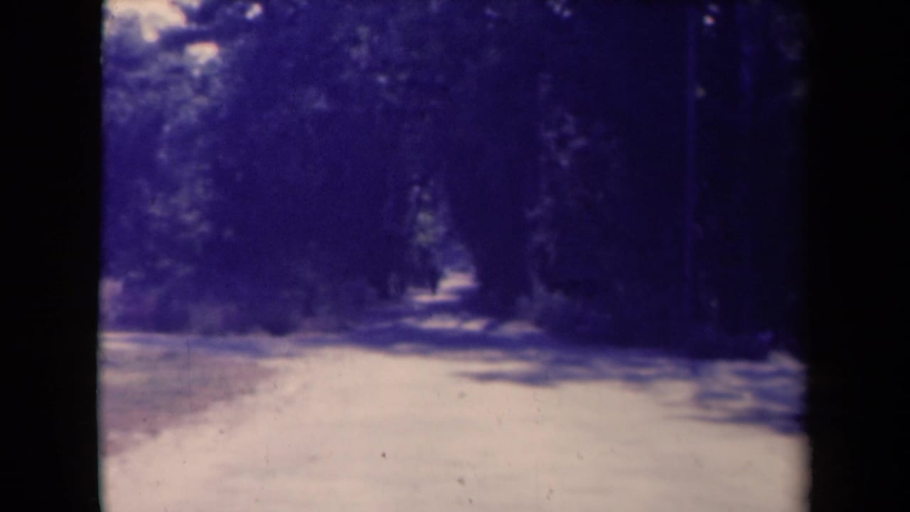 1945 France 8mm frame of a shaded path with dark trees, soft focus, and a bright distant opening.