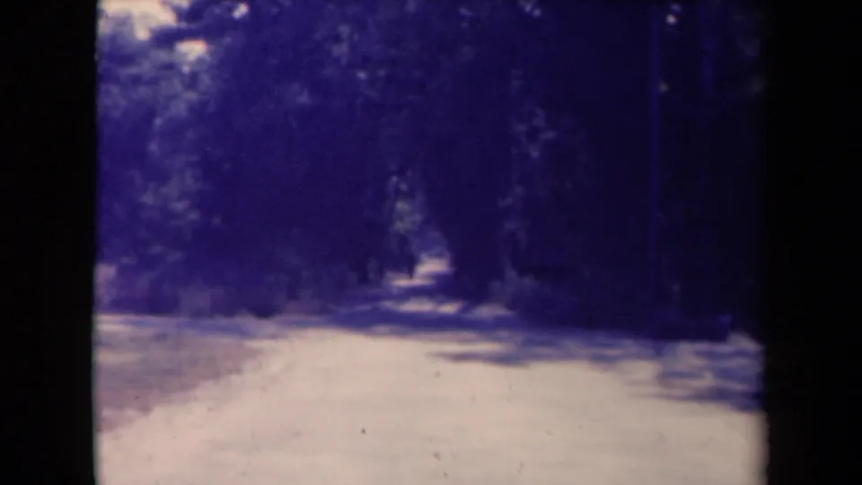 1945 France 8mm frame of a shaded path with dark trees, soft focus, and a bright distant opening.