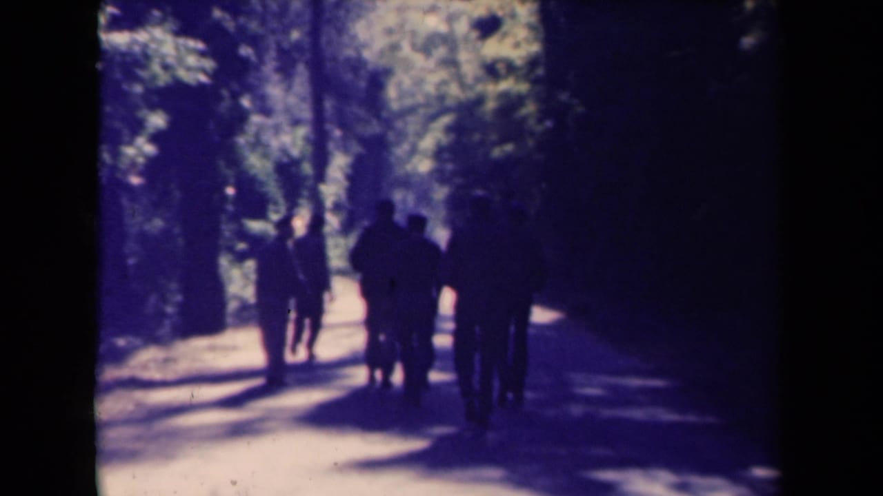 Several silhouetted people walk away along a sunlit forest path.
