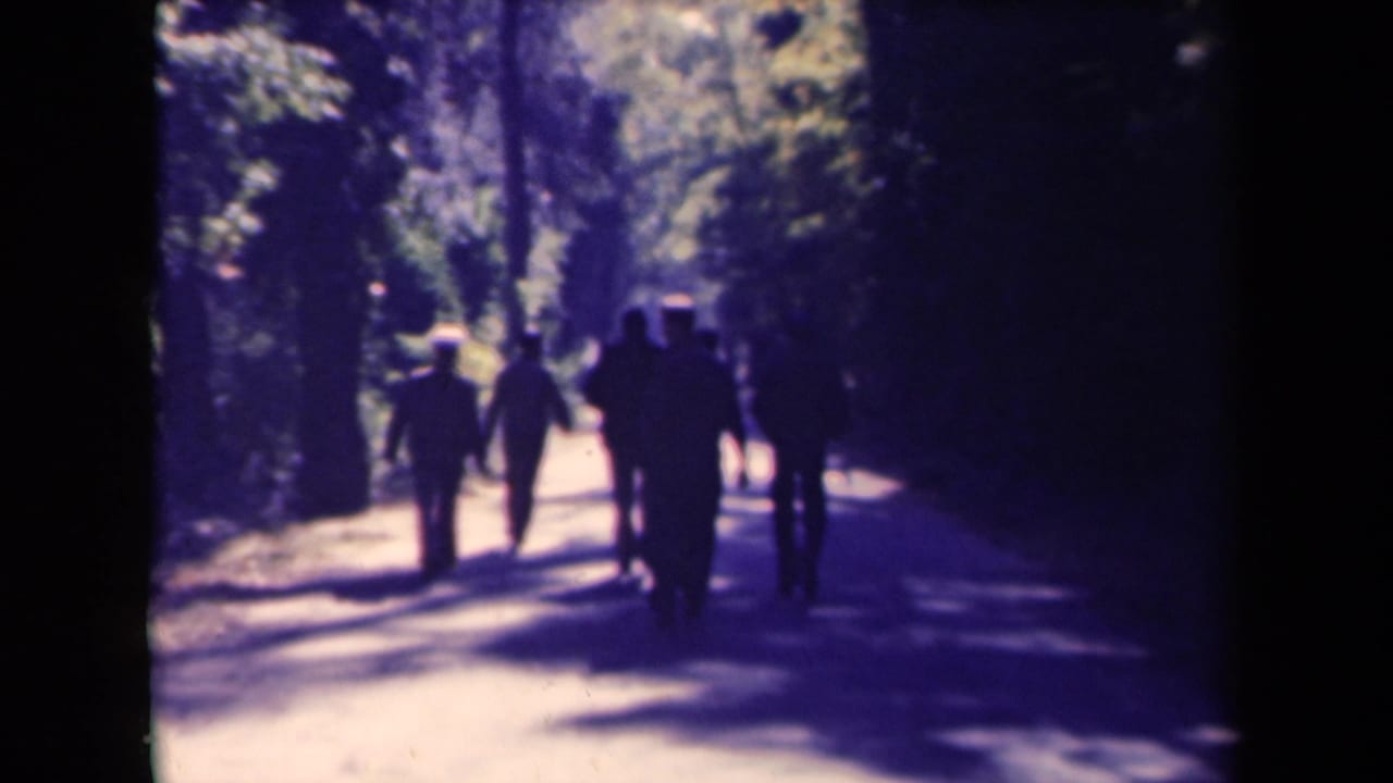 Six distant figures continue walking down a shaded forest path.
