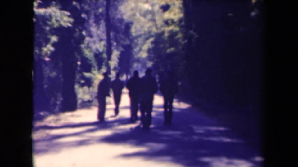 The group recedes along the forest track, framed by dark tree cover and bright sunlit ground.
