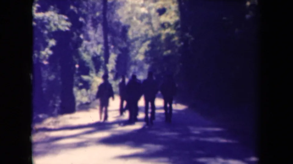 At the end of the clip, the figures remain distant silhouettes on a tree-lined path with strong light and shadow.