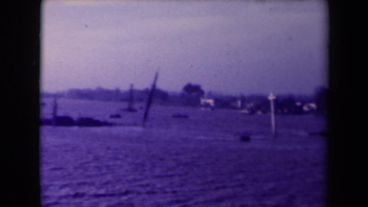 Floodwater with distant shoreline and leaning dark marker or pole.
