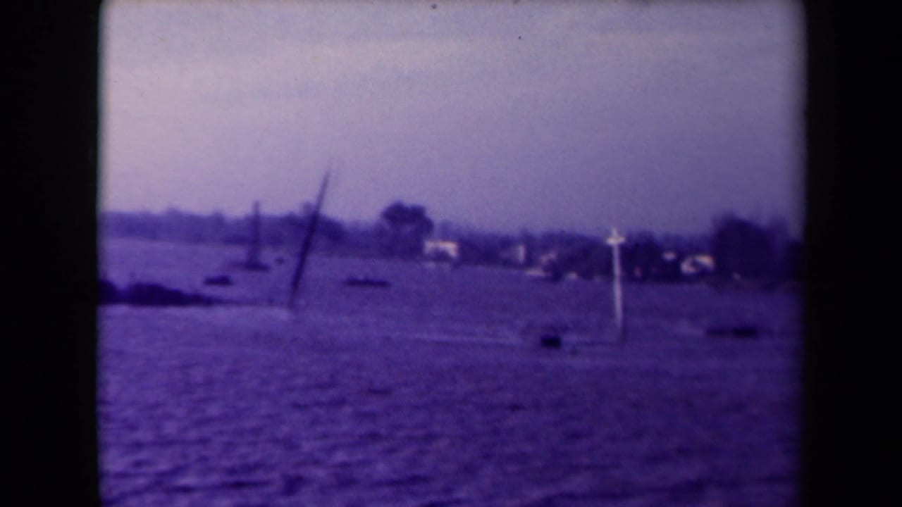 Flooded shoreline with small markers and distant trees under a hazy sky.