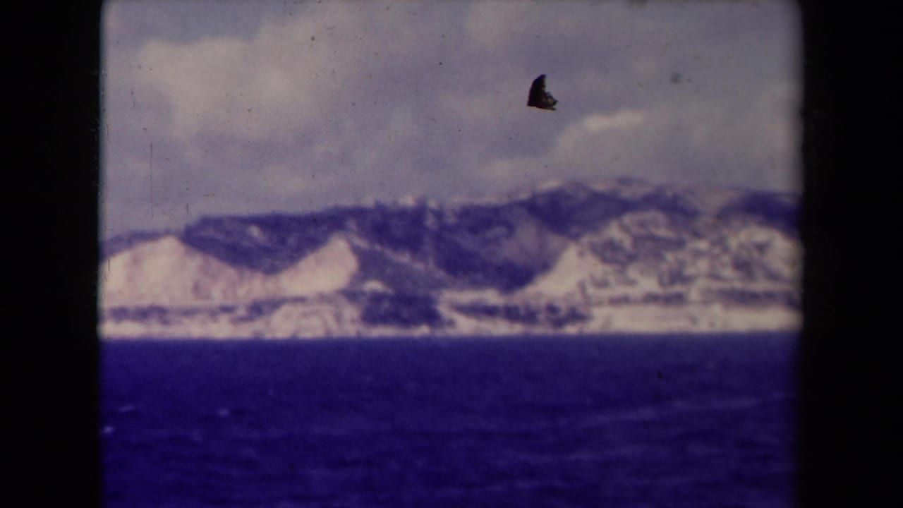 Open sea in front of pale coastal mountains, with a dark film speck near the sky.