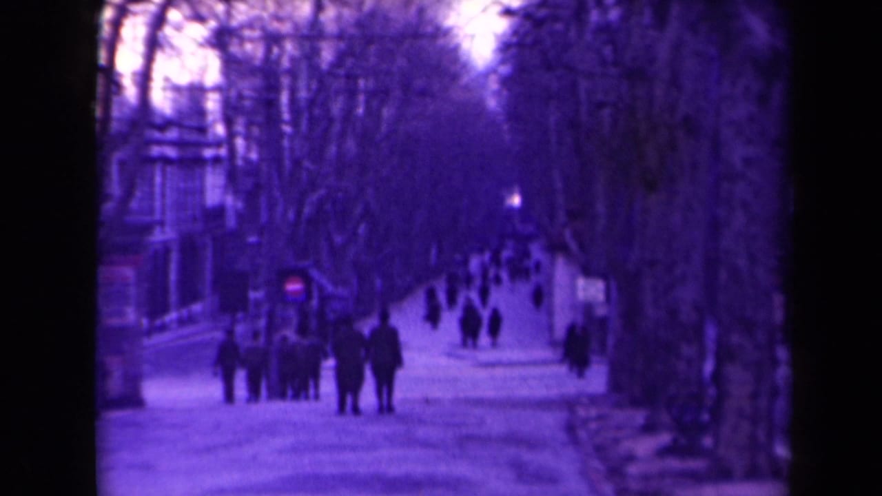 Pedestrians in dark coats walk along a snowy tree-lined street.